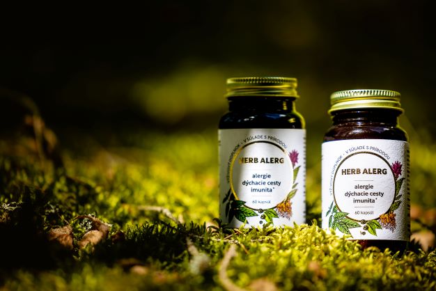 masticha herb allerg, természetes készítmény allergia kezelésére az erdőben, zöld mohára fektetve egy fa mellett.