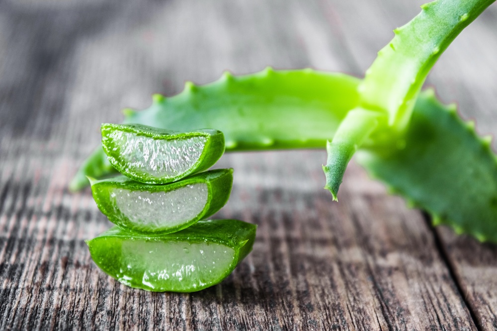 aloe vera
