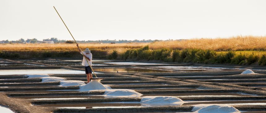 Egy férfi kelta sót gyűjt a sómezőkön naplementekor.